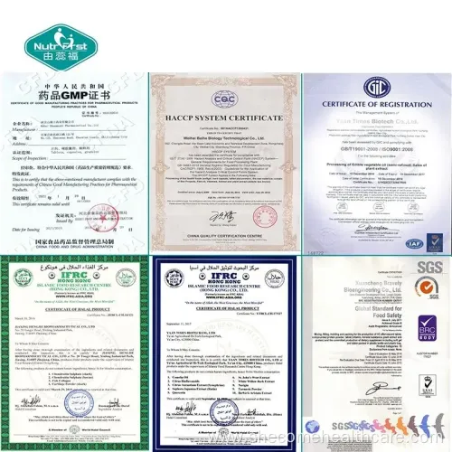 Coenzyme Q10 Softgel Capsule